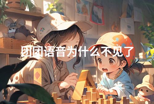 团团语音为什么不见了