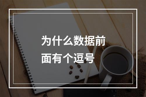 为什么数据前面有个逗号