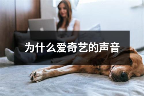 为什么爱奇艺的声音