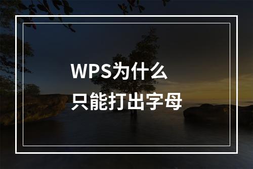 WPS为什么只能打出字母