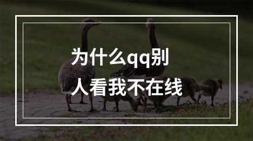 为什么qq别人看我不在线