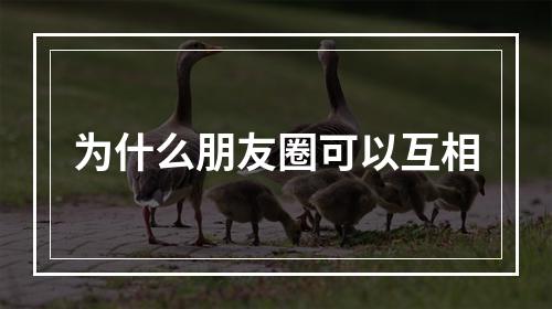 为什么朋友圈可以互相