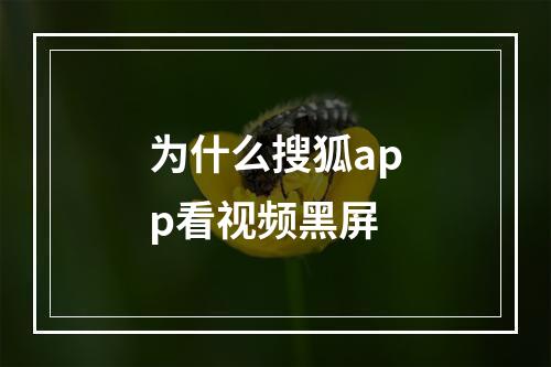 为什么搜狐app看视频黑屏