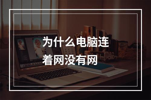 为什么电脑连着网没有网