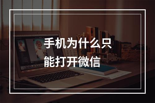 手机为什么只能打开微信