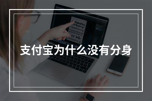 支付宝为什么没有分身