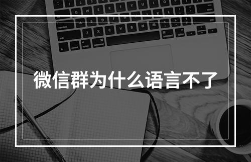 微信群为什么语言不了