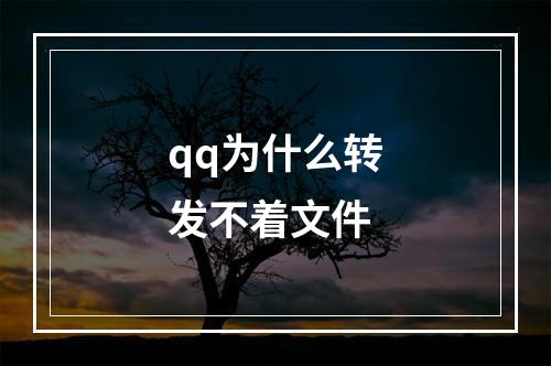 qq为什么转发不着文件
