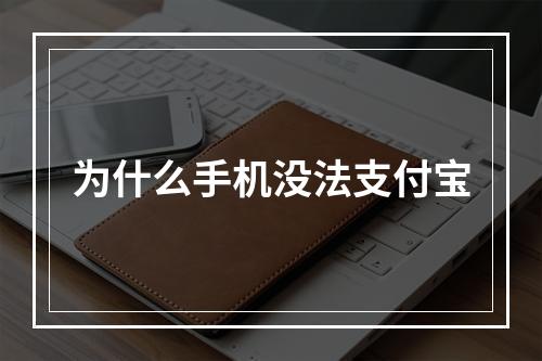 为什么手机没法支付宝
