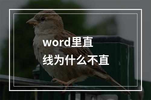 word里直线为什么不直