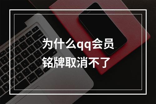 为什么qq会员铭牌取消不了