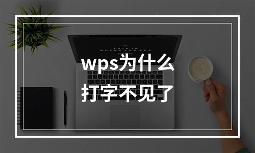 wps为什么打字不见了