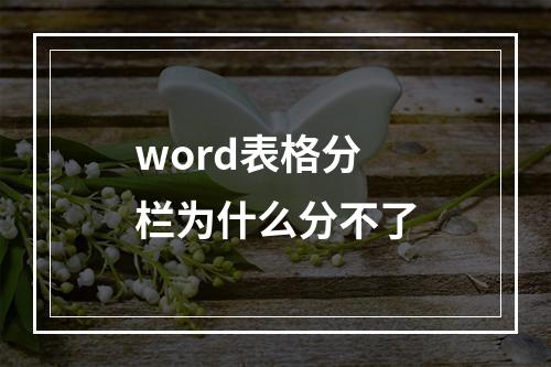word表格分栏为什么分不了