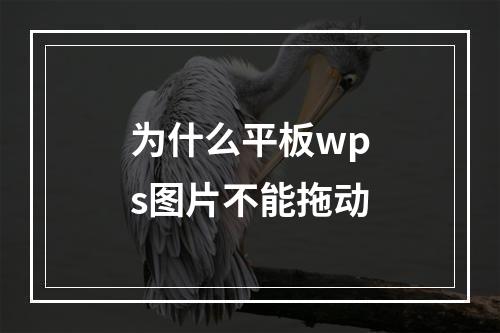 为什么平板wps图片不能拖动