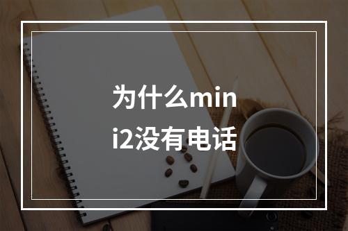 为什么mini2没有电话