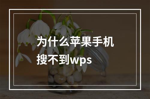 为什么苹果手机搜不到wps