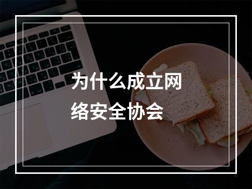 为什么成立网络安全协会