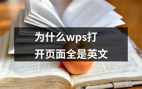 为什么wps打开页面全是英文