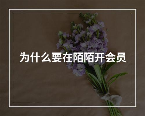 为什么要在陌陌开会员
