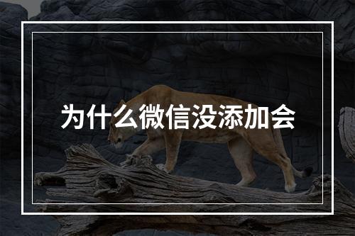 为什么微信没添加会
