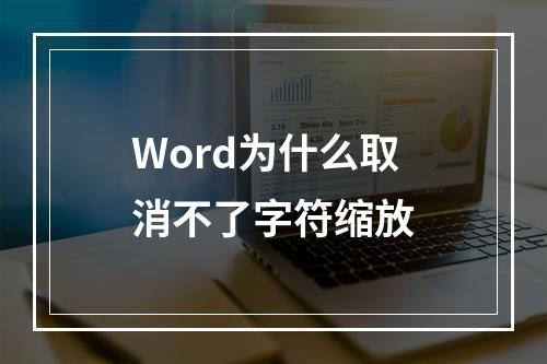 Word为什么取消不了字符缩放