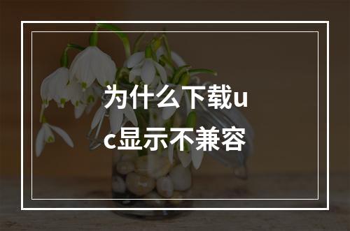 为什么下载uc显示不兼容