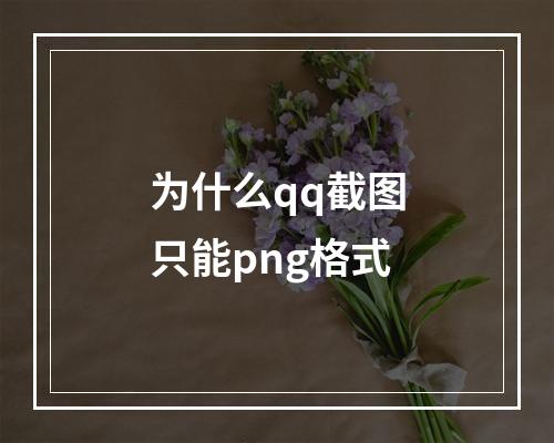 为什么qq截图只能png格式