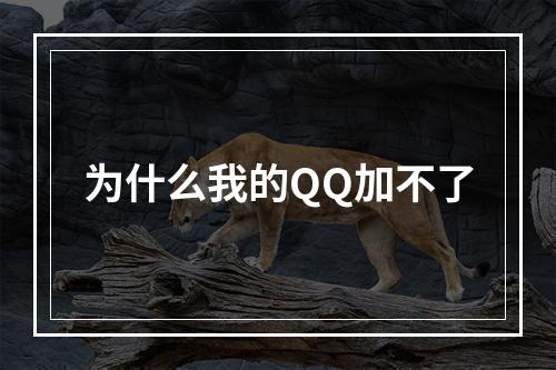 为什么我的QQ加不了