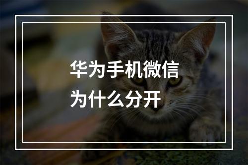 华为手机微信为什么分开
