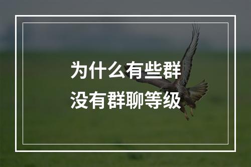 为什么有些群没有群聊等级