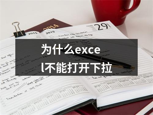 为什么excel不能打开下拉