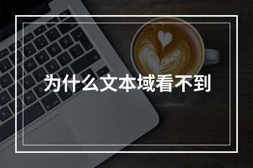为什么文本域看不到