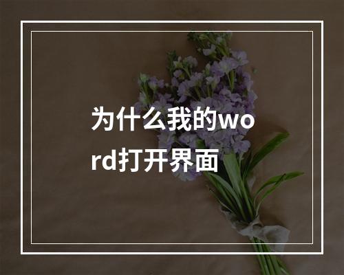 为什么我的word打开界面