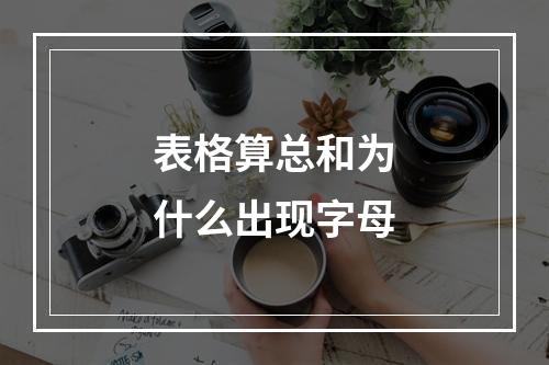 表格算总和为什么出现字母