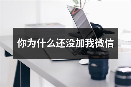 你为什么还没加我微信