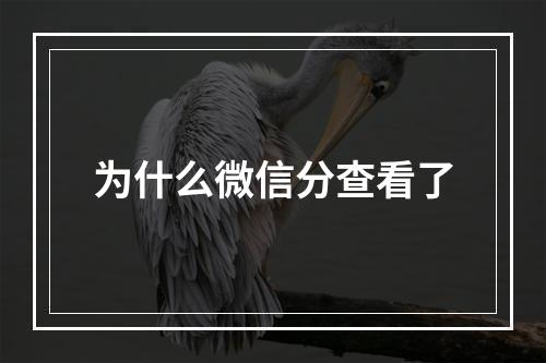 为什么微信分查看了