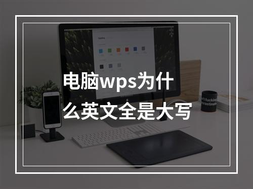 电脑wps为什么英文全是大写