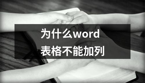 为什么word表格不能加列