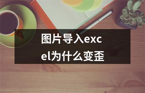 图片导入excel为什么变歪