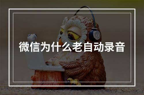 微信为什么老自动录音