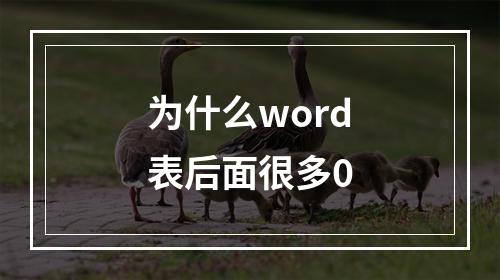 为什么word表后面很多0