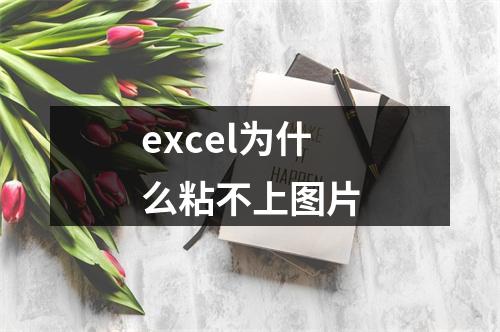 excel为什么粘不上图片