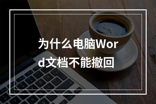 为什么电脑Word文档不能撤回