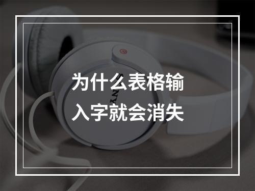 为什么表格输入字就会消失