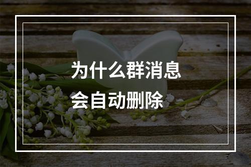 为什么群消息会自动删除