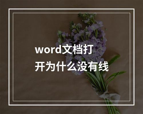word文档打开为什么没有线