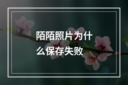 陌陌照片为什么保存失败