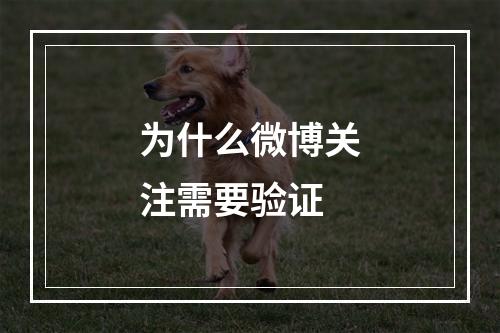 为什么微博关注需要验证