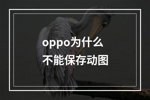 oppo为什么不能保存动图