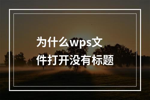 为什么wps文件打开没有标题